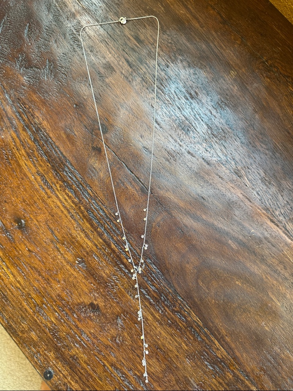 Gorjana Silver Y-Drop Necklace